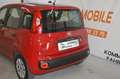 Fiat Panda 1,2 **1.Besitz**22.000 KM**neues Pickerl** Rot - thumbnail 8