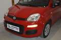 Fiat Panda 1,2 **1.Besitz**22.000 KM**neues Pickerl** Rot - thumbnail 4