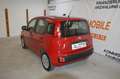 Fiat Panda 1,2 **1.Besitz**22.000 KM**neues Pickerl** Rot - thumbnail 7