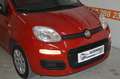 Fiat Panda 1,2 **1.Besitz**22.000 KM**neues Pickerl** Rot - thumbnail 2