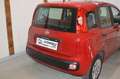 Fiat Panda 1,2 **1.Besitz**22.000 KM**neues Pickerl** Rot - thumbnail 10