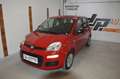 Fiat Panda 1,2 **1.Besitz**22.000 KM**neues Pickerl** Rot - thumbnail 5