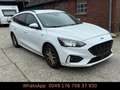 Ford Focus Turnier ST-Line 125PS Blanc - thumbnail 5