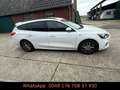 Ford Focus Turnier ST-Line 125PS Blanc - thumbnail 2