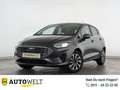 Ford Fiesta Fiesta 1.0 EcoBoost Titanium EURO 6d LED+PDC+SHZ Grau - thumbnail 1