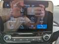 Ford Fiesta Fiesta 1.0 EcoBoost Titanium EURO 6d LED+PDC+SHZ Grau - thumbnail 19