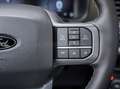 Ford F 150 2026 Lariat € 72690 +5.0L V8 COYOTE ENGINE +195 LARIAT® BLACK APPEARANCE PACKAGE Schwarz - thumbnail 18