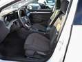 Volkswagen Golf VIII 1.5TSI DSG Life ACC LED Navi-Vorb. PDC Weiß - thumbnail 12