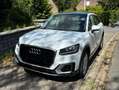 Audi Q2 Q2 30 TFSI Sport (EU6d-TEMP) Blanc - thumbnail 4