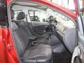Volkswagen Polo 1.2 TSI Comfortline / PANORAMA / SCHÖN Rot - thumbnail 16