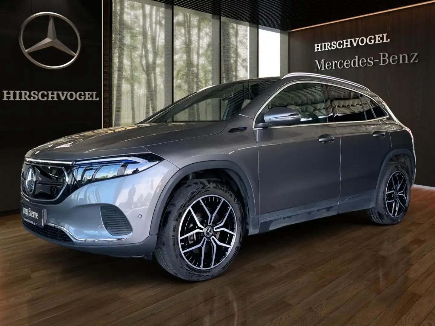 Mercedes-Benz EQA 250 Progressive+MBUX+Navi-P.+LED+Kam+PDC+SHZ Gris - 2