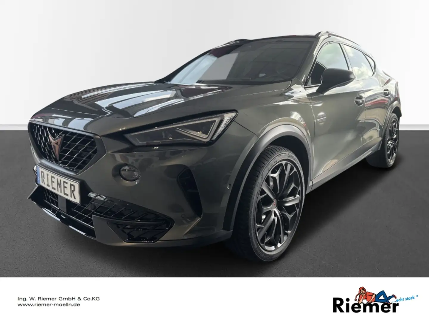 CUPRA Formentor VZ Tribe Edition 2.0 TSI Matrix-LED, Full Link, Grau - 1