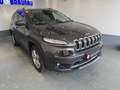 Jeep Cherokee Cherokee 2.0 Multijet Active Drive II Automatik L Grau - thumbnail 4