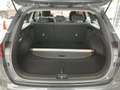 Kia Ceed / cee'd SW 1.5T-GDI VISION DCT7 AUTOMATIK Grau - thumbnail 11