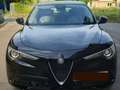 Alfa Romeo Stelvio Stelvio 2,0 ATX AWD Schwarz - thumbnail 3