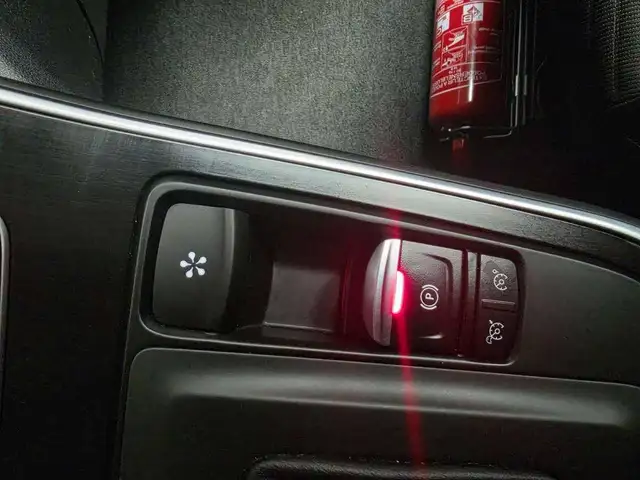 Renault Grand Scenic view 15