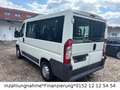 Citroen Jumper Kombi 30 L1H1 HDi 110 FAP*Doppelklima Weiß - thumbnail 6