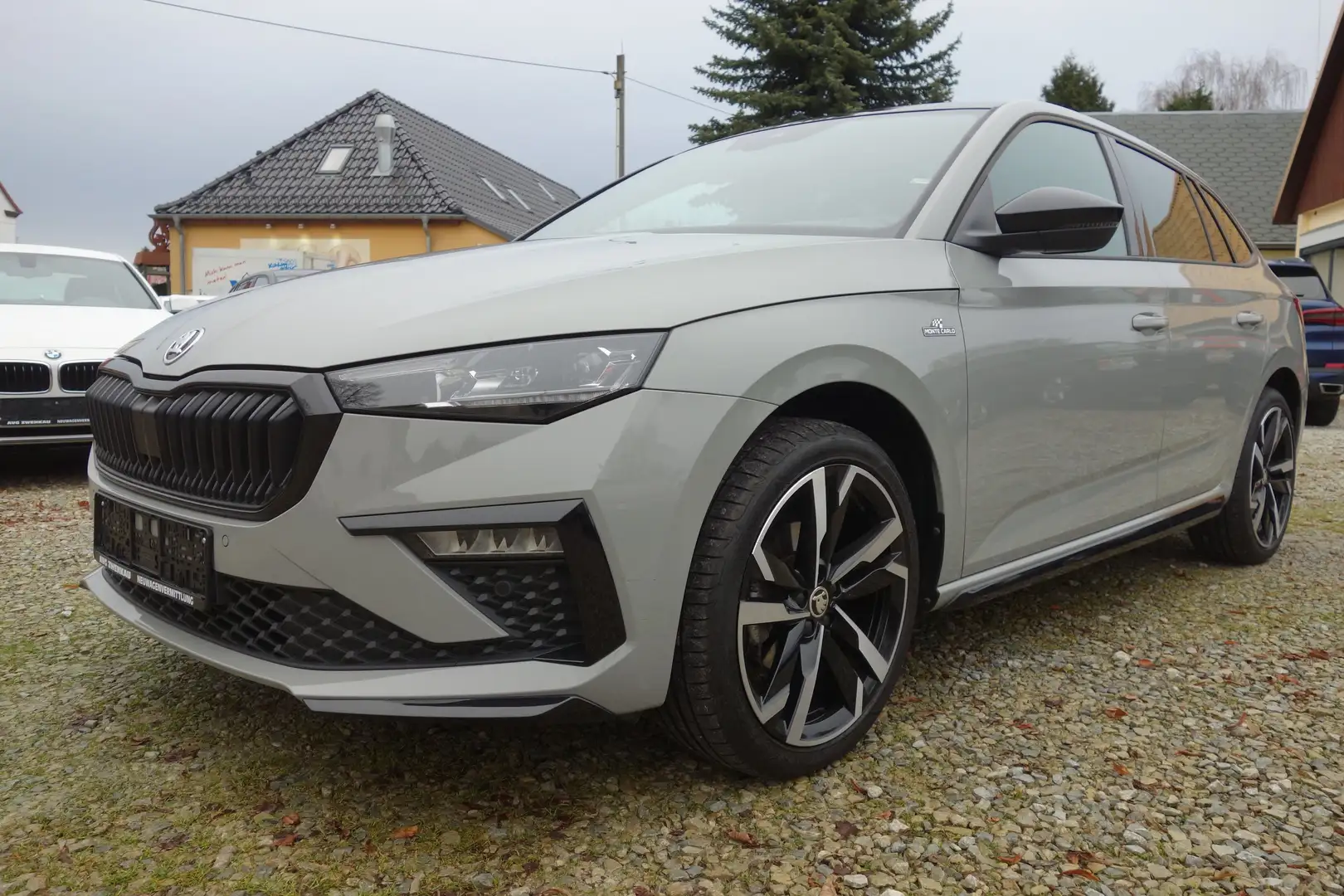 Skoda Scala Monte Carlo Anhängerkupplung / Matrix Grau - 1