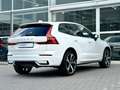 Volvo XC60 T8 455PK Recharge R-Design| Panodak| Adap.Cruise| Wit - thumbnail 7