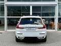 Volvo XC60 T8 455PK Recharge R-Design| Panodak| Adap.Cruise| Wit - thumbnail 6