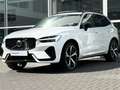 Volvo XC60 T8 455PK Recharge R-Design| Panodak| Adap.Cruise| Wit - thumbnail 3