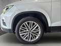 SEAT Ateca 2,0 Xcellence 4WD TDI DSG Blanc - thumbnail 13