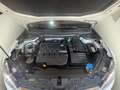 SEAT Ateca 2,0 Xcellence 4WD TDI DSG Blanc - thumbnail 12