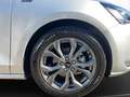 Ford Focus Turnier ST-Line **Matrix-LED** Argento - thumbnail 12