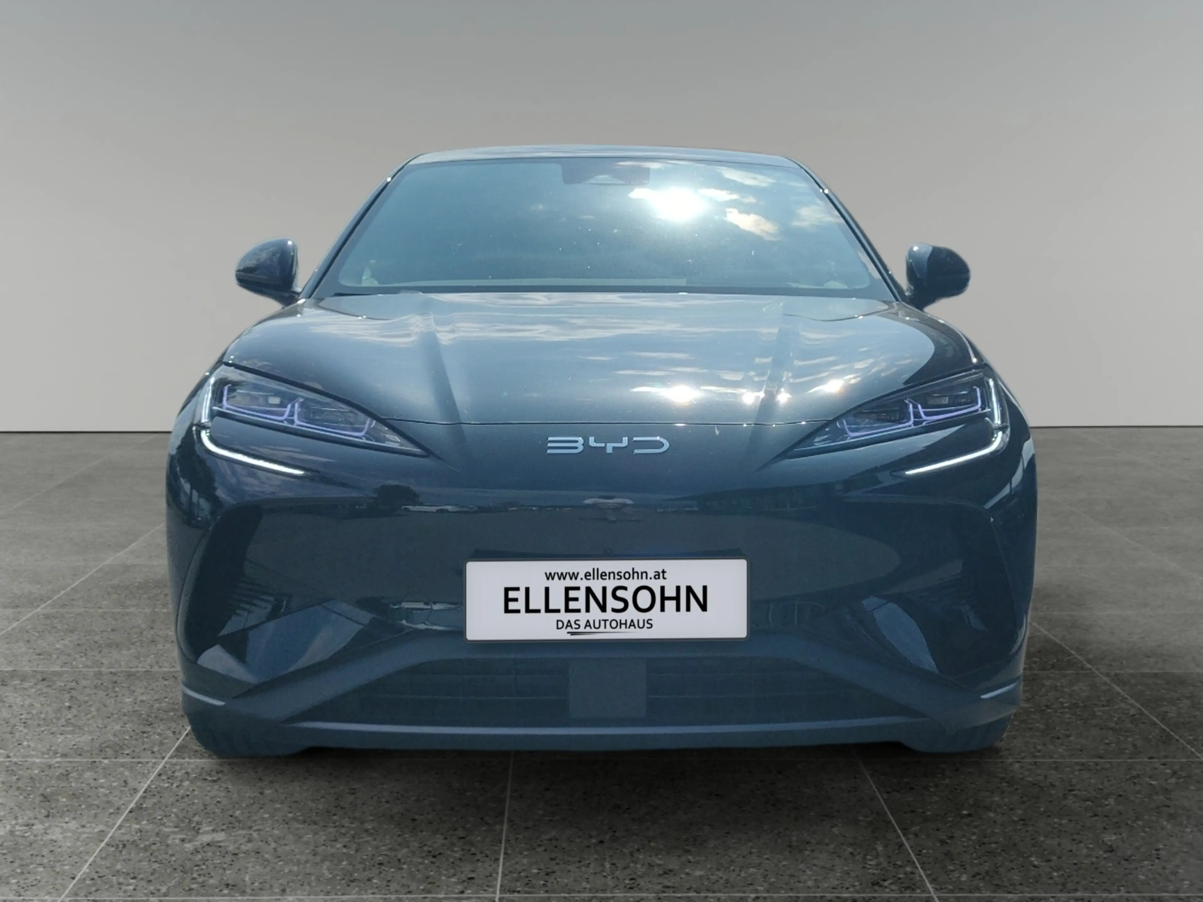 BYD Sealion 7 Excellence AWD — photo 8