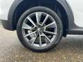 Skoda Kamiq ScoutLine  Rückfahrkamera Sitzheizung Navi Weiß - thumbnail 6