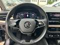 Skoda Kamiq 1.0 TSI BUSINESS EDITION AUTOMAAT TREKHAAK/NAVI/CR Zwart - thumbnail 30