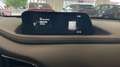 Mazda CX-30 (2022) e-SKYACTIV-G 2.0 150CV MT HOMURA Gris - thumbnail 17