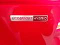 Ford Focus 1.0 Ecoboost MHEV ST Line 125 Rojo - thumbnail 10