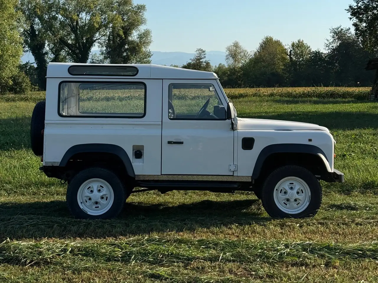 Land Rover Defender 90 - 300 TDI - Certificato ASI, foto 4