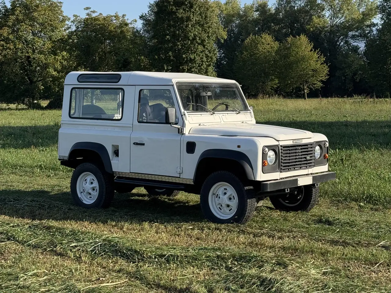 Land Rover Defender 90 - 300 TDI - Certificato ASI, foto 3
