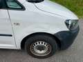Volkswagen Caddy Kasten *FINANZIERUNG* Weiß - thumbnail 13