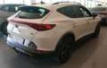 CUPRA Formentor 2.5 tsi VZ5 Taiga Grey 4drive dsg - thumbnail 5