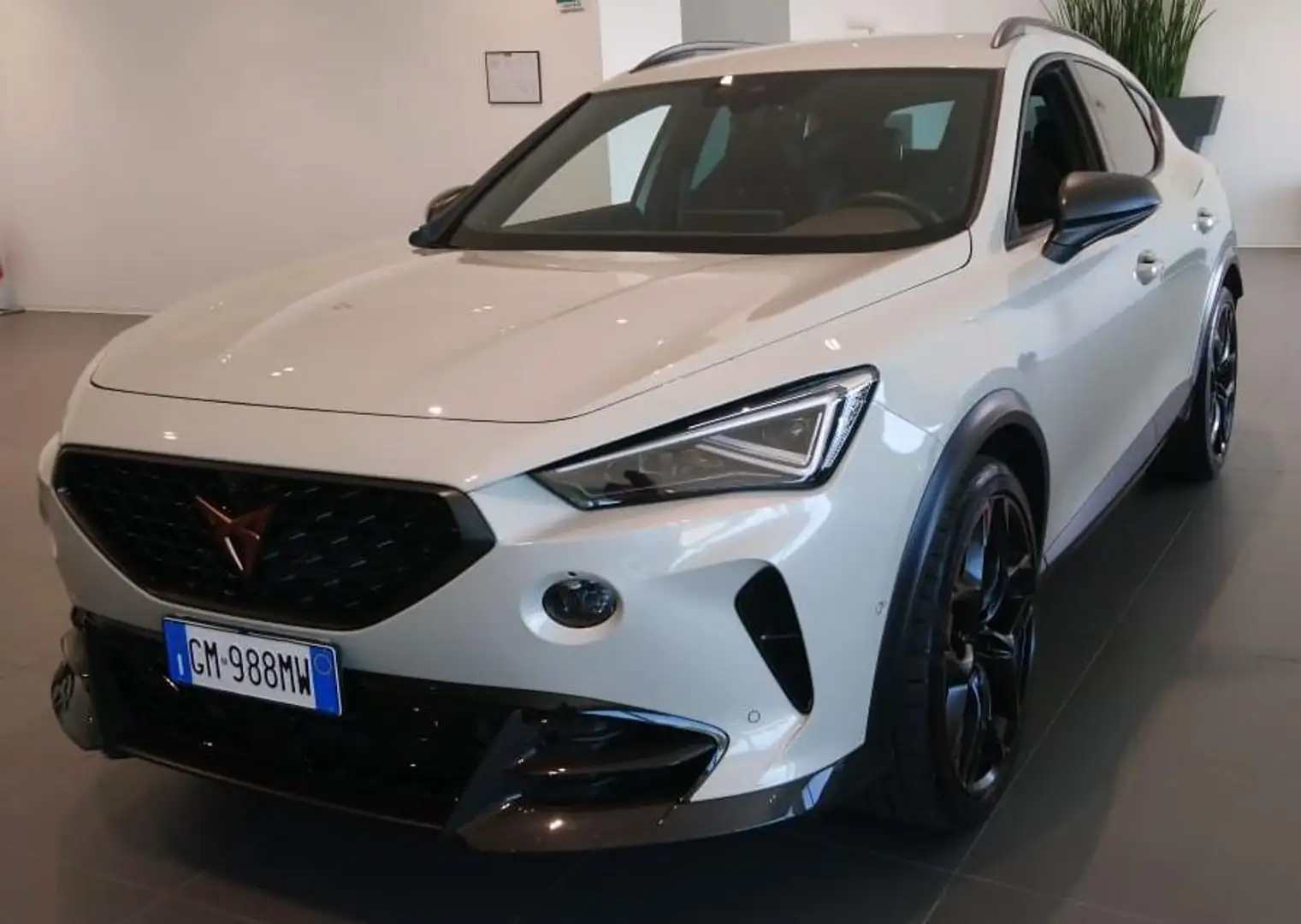 CUPRA Formentor 2.5 tsi VZ5 Taiga Grey 4drive dsg - 1