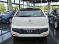 Fiat Punto Evo 3p 1.3 mjt Dynamic s Weiß - thumbnail 4