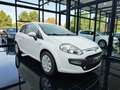 Fiat Punto Evo 3p 1.3 mjt Dynamic s Weiß - thumbnail 7