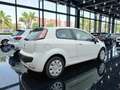 Fiat Punto Evo 3p 1.3 mjt Dynamic s Weiß - thumbnail 5