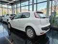 Fiat Punto Evo 3p 1.3 mjt Dynamic s Weiß - thumbnail 3