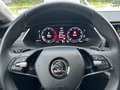 Skoda Octavia Combi 2,0 TDI DSG 4x4 Style AHK Schwarz - thumbnail 8