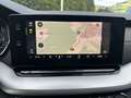 Skoda Octavia Combi 2,0 TDI DSG 4x4 Style AHK Schwarz - thumbnail 12