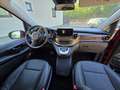 Mercedes-Benz V 250 d 4MATIC lang Avantgarde Aut. Rot - thumbnail 14