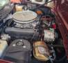 Triumph TR8 Automatik /Cabrio/LederausstattungVollrestauration Czerwony - thumbnail 3