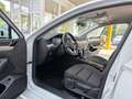 Volkswagen Passat Variant Business R-Line Standheizung AHK Weiß - thumbnail 11