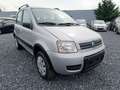 Fiat Panda 1.2i Climbing 4X4 / Marchand ou Export Gris - thumbnail 3