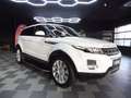 Land Rover Range Rover Evoque 2.2 Td4 Pure Meridian/Pano/Xe Blanco - thumbnail 4