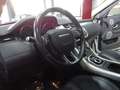 Land Rover Range Rover Evoque 2.2 Td4 Pure Meridian/Pano/Xe Weiß - thumbnail 12